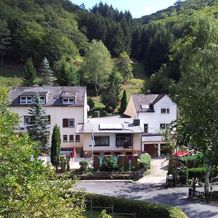 Ferien Und Selbstversorgerhaus Fuer Gruppen Sauerthaler Hof - Loreley Zewnętrze zdjęcie