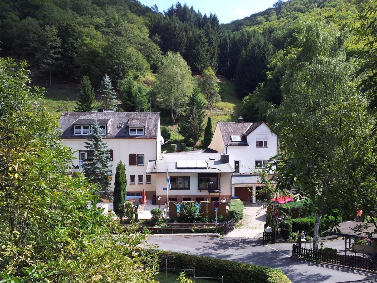Ferien Und Selbstversorgerhaus Fuer Gruppen Sauerthaler Hof - Loreley Zewnętrze zdjęcie
